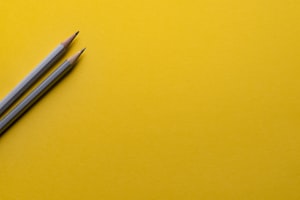 未来的我作文600字：写作技巧与精彩范文分享